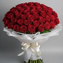 Букет 101 Красная роза Блэк Мэджик в Манаскенте
