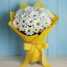 Букет цветов из:  Хризантемы в Манаскенте