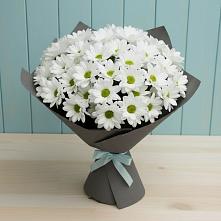 Букет цветов из:  Хризантемы #REPLACE_PRED# Манаскенте