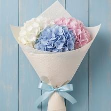 Букет цветов из:  Гортензия в Манаскенте