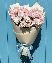 Букет цветов из:  Хризантемы в Манаскенте