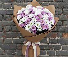 Букет цветов из:  Хризантемы #REPLACE_PRED# Манаскенте