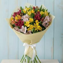 Букет цветов из:  Альстромерии в Манаскенте