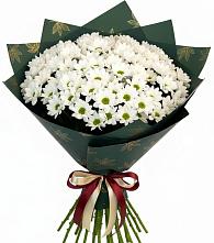 Букет цветов из:  Хризантемы #REPLACE_PRED# Манаскенте