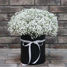 Цветочная композиция из Гипсофила в шляпной коробке в Манаскенте