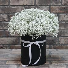 Цветочная композиция из Гипсофила в шляпной коробке в Манаскенте