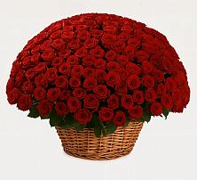 Премиум букет из: Розы в Манаскенте